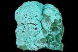 Botryoidal Malachite and Chrysocolla - Congo #148243-1